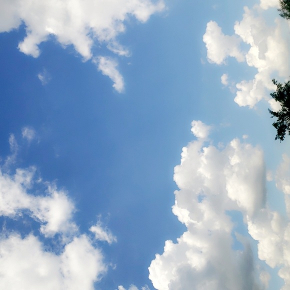 Meet your Posher, Jessica - Picture 1 of 1